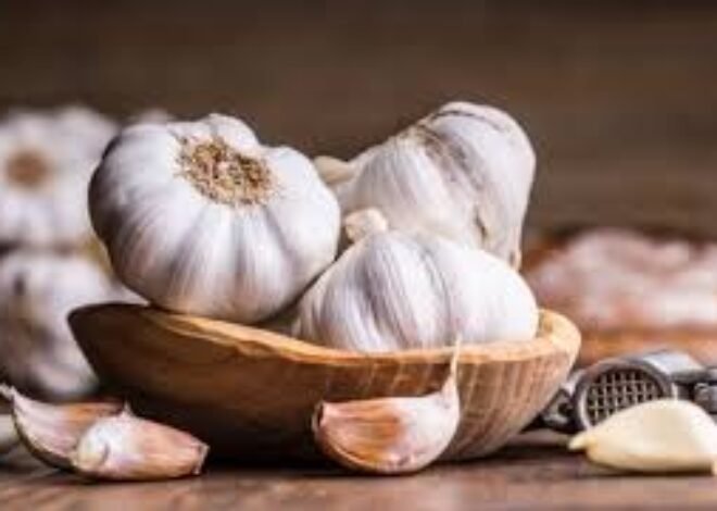 Garlic is beneficial in fatty liver : Results of a meta analysis
